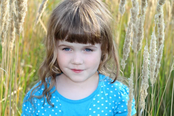 Niña en vestido azul con lunares en hierba alta —  Fotos de Stock