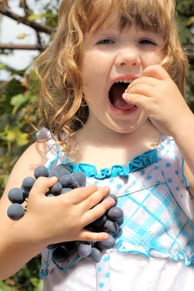 Ragazza con i capelli ricci in possesso di un grappolo d'uva e gusti di uva — Foto Stock