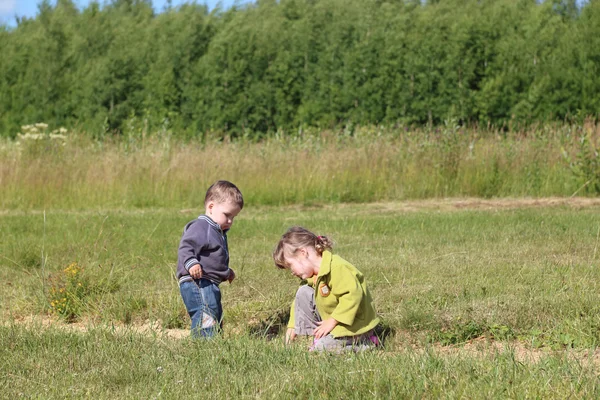 Μικρό αγόρι και κορίτσι paly στο γρασίδι στο πράσινο λιβάδι στην ηλιόλουστη ημέρα — Φωτογραφία Αρχείου