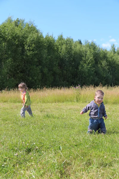 Mały chłopiec i dziewczynka chodzić na trawie w zielony łąka w słoneczny dzień — Zdjęcie stockowe