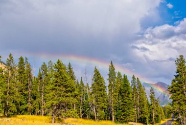 Yellowstone Ormanı üzerinde güzel gökkuşağı.