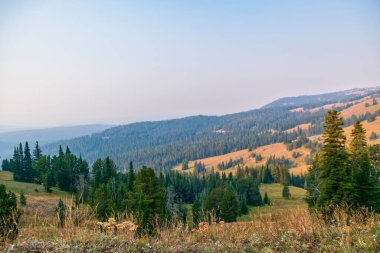 Yellowstone 'da orman yangını dumanı ile gökyüzü.