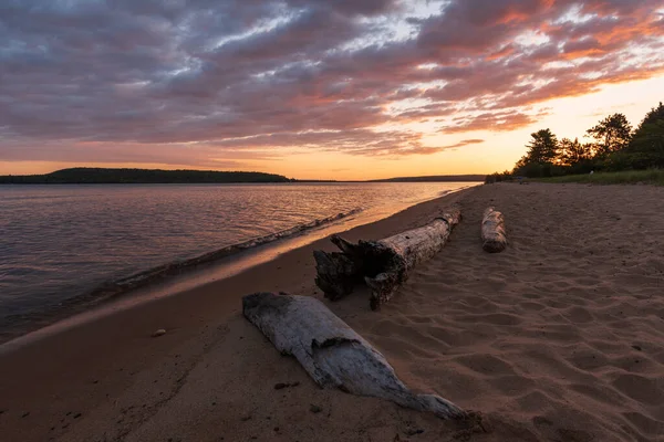 Zonsopgang weerspiegeld op nat strand zand met inkomende golven, meeuw en logs. — Stockfoto