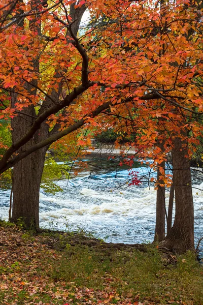 Flowing river surrounded by colorful red Fall foliage on College Campus — Stock Photo, Image