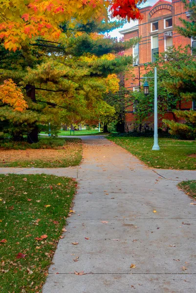 Barevná žlutá Podzim listí a starožitné lampy na College Campus — Stock fotografie
