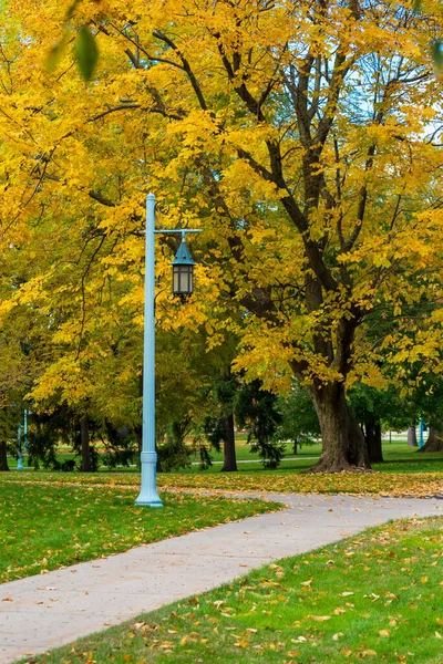 Colorful yellow Fall foliage and antique lamp on College Campus — Stock Photo, Image