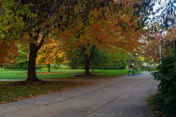 Colorful yellow Fall foliage and bench on College Campus — Stock Photo, Image