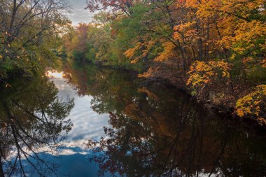 Kırmızı Cedar nehri Michigan Eyalet Üniversitesi kampüsünden dökülüyor.