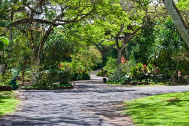 Hawaii 'deki bir bahçe bahçesinde rahatlama yolu.