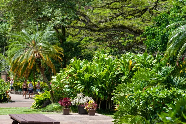 하와이,오아 후 - 2015 년 5 월 2 일: 하와이의 공공 원예 정원에서 모임을 갖는 장소 — 스톡 사진