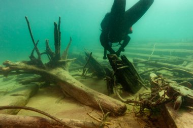 Munising, MI - 14 Ağustos 2021: SCUBA dalgıcı ahşap buharlı gemi enkazını keşfediyor