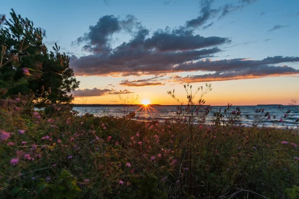 Schöner Sonnenuntergang am Lake Superior mit Wildblumen im Vordergrund — Stockfoto