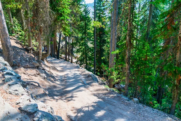 Relaxing hiking trail in Yellowstone National Park, Wyoming — Stock Photo, Image