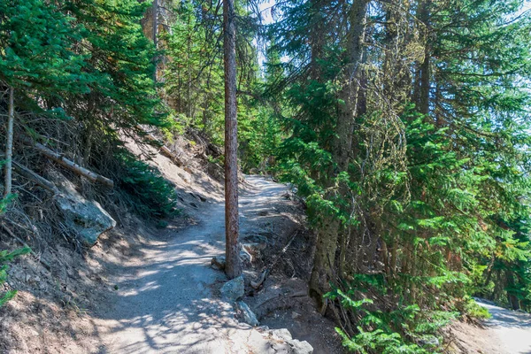 Relaxing hiking trail in Yellowstone National Park, Wyoming — Stockfoto