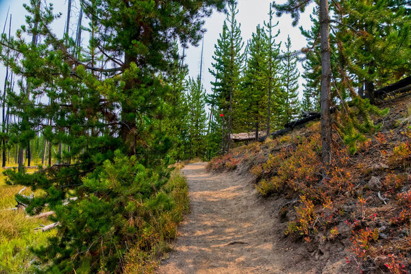 Relaxing hiking trail in Yellowstone National Park, Wyoming