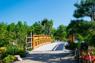 Ornamental wooden foot bridge in a a garden setting