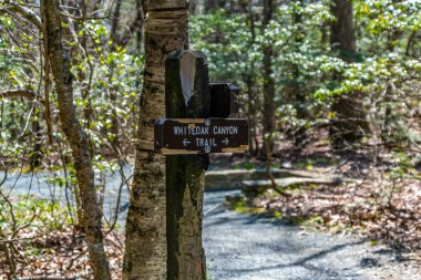 Shenandoah National Park, VA - May 9, 2018: Trail marker for White Canyon Trail