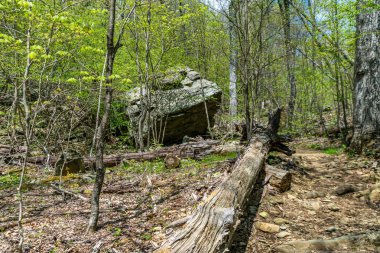 Trail next to massive boulder, Shenandoah National Park, Virginia.