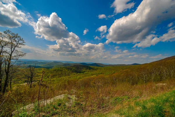 Вид на национальный парк Шенандоа, штат Вирджиния, США — стоковое фото