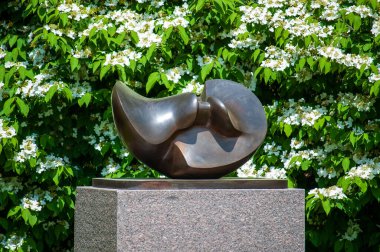 Grand Rapids, MI USA - 30 Mayıs 2016: Frederik Meijer Gardens Park 'ta Kelebek