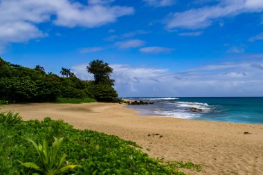 Hawaii, ABD 'deki Kauai Adası' nda güzel bir deniz manzarası. Yüksek kalite fotoğraf