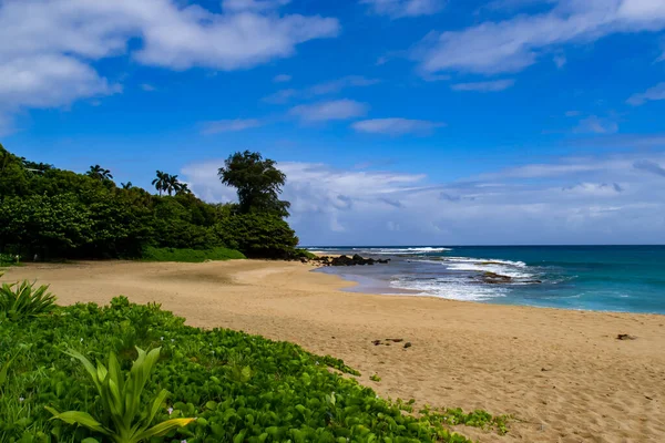 Hermosa Escena Del Paisaje Marino Isla Kauai Hawái Foto Alta —  Fotos de Stock