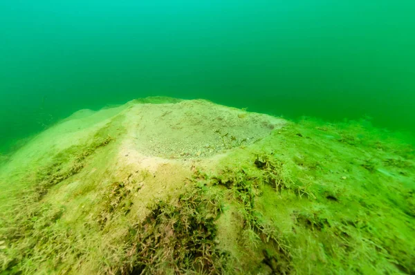 Old abandoned fish spawning bed in a Michigan lake — Fotografia de Stock