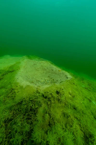 Antiguo lecho de desove de peces abandonado en un lago de Michigan —  Fotos de Stock