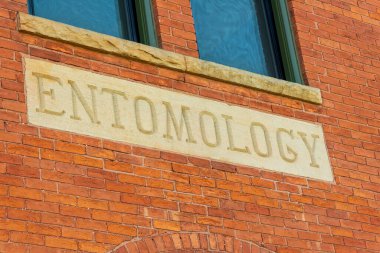 Doğu Lansing MI - 14 Mayıs 2022: Michigan Eyalet Üniversitesi 'ndeki Eski Entomoloji binasında Masonry salgını. Yüksek kalite fotoğraf