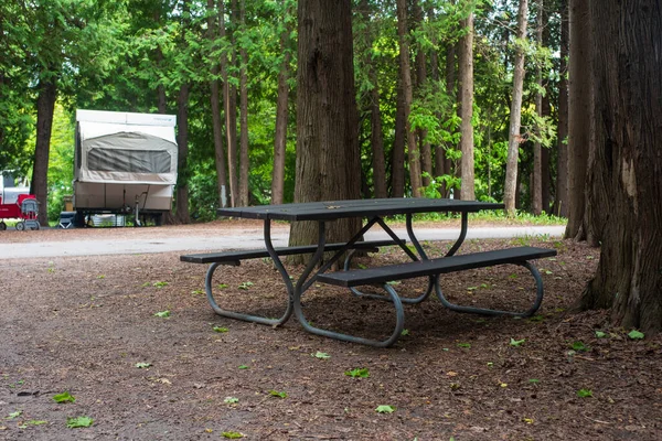 Wooden picnic table at a campsite in a Michigan State Park. High quality photo