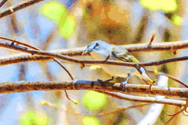 Digitally Created Watercolor Painting Blue Headed Vireo Perched Branch Spring — Photo