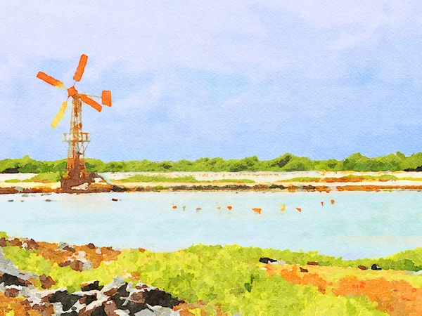Digitally Created Watercolor Painting Windmill Pink Flamingos Salt Pond Bonaire — 图库照片