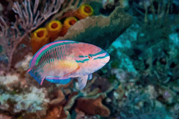 Digitally Created Watercolor Painting Princess Parrotfish Waters Little Cayman High — Fotografia de Stock