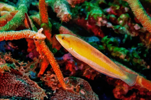 Digitally Created Watercolor Painting Juvenile Bluehead Wrasse Yellow Phase High — Fotografia de Stock