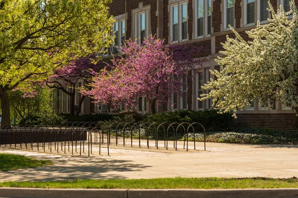 East Lansing Mayo 2022 Bastidores Bicicletas Frente Antiguo Edificio Old —  Fotos de Stock