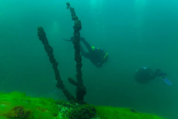 SCUBA divers exploring a strange and alien underwater landscape. High quality photo