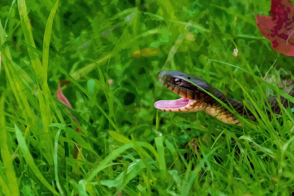 Digitales Aquarell Gemälde Einer Schlichten Wasserschlange Mit Weit Geöffnetem Mund — Stockfoto
