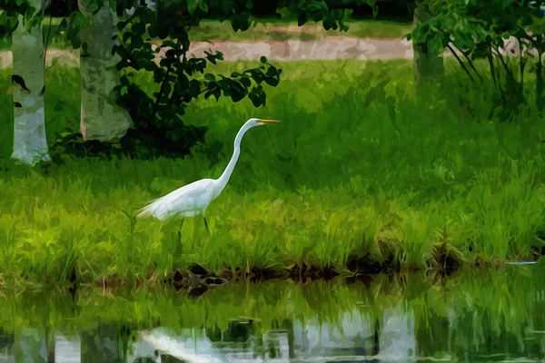 Aquarelle Créée Numériquement Représentant Une Grande Aigrette Grand Héron Blanc — Photo