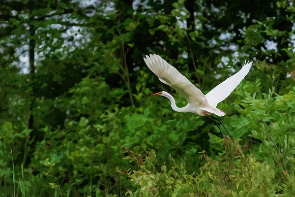 Digitalmente Criado Aquarela Pintura Grande Egret Carregando Pequeno Pássaro Enquanto — Fotografia de Stock