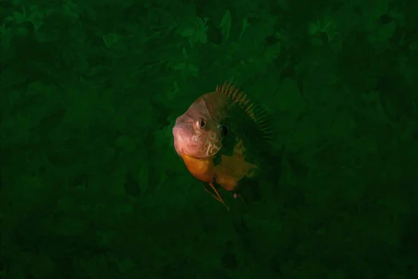 Çevresindeki Doğal Ortamlarda Mavi Renkli Erkek Güneş Balığının Suluboya Resmini — Stok fotoğraf