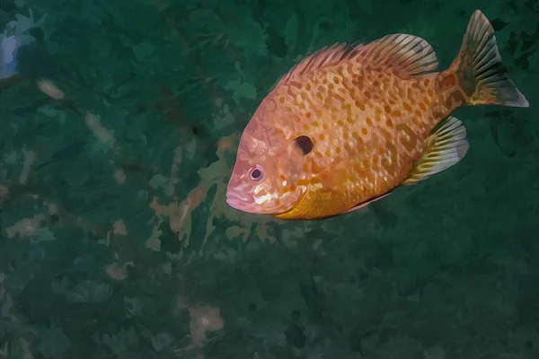 Digital Erstelltes Aquarell Gemälde Eines Mondfisches Einem Natürlichen Lebensraum Hochwertige — Stockfoto