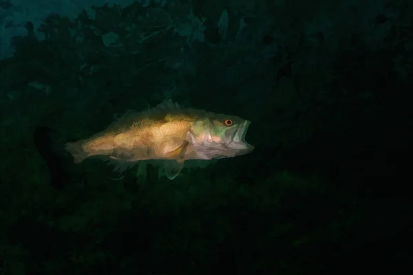 Digitálně Vytvořený Akvarel Malby Smallmouth Bass Velkými Širokými Otevřenými Ústy — Stock fotografie