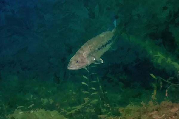 Digitally Created Watercolor Painting Smallmouth Bass Swimming Michigan Inland Lake — Stock Photo, Image