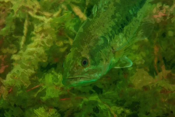 Digitalmente Creado Pintura Acuarela Una Lubina Boca Chica Nadando Lago —  Fotos de Stock