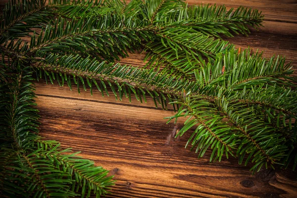 Christmas fir — Stock Photo, Image