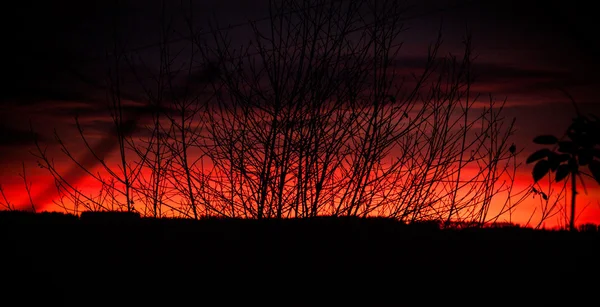 Pôr do sol — Fotografia de Stock