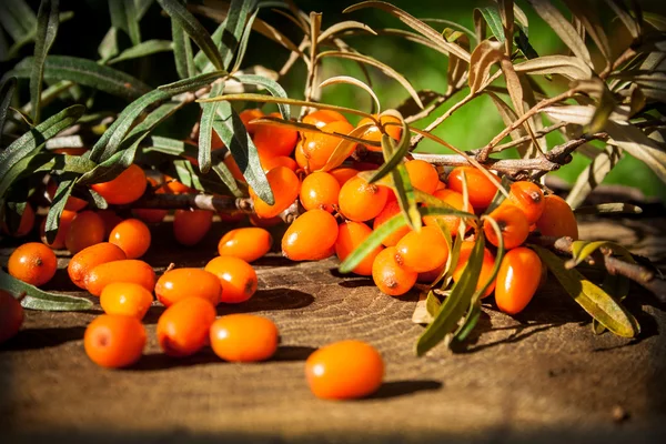 Hippophae rhamnoides on wooden table — Stock Photo, Image