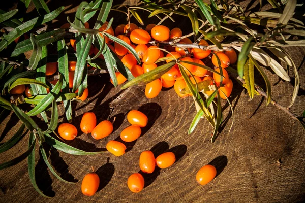 Hippophae rhamnoides na dřevěný stůl — Stock fotografie