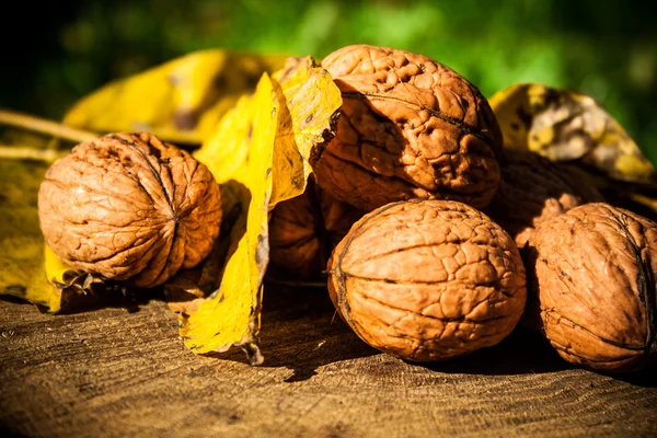 Walnuts on wooden table — Stock Photo, Image