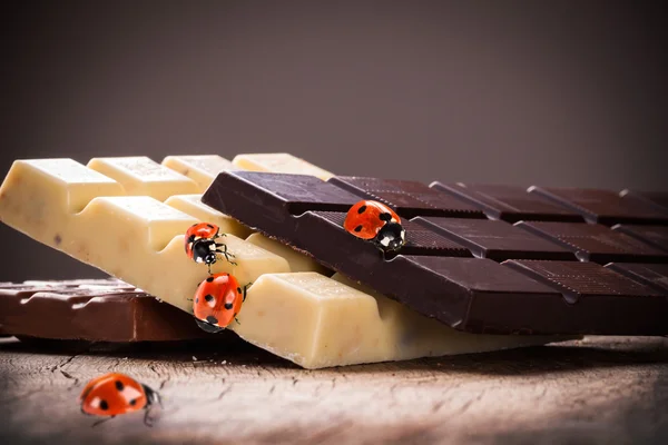 Ladybug on a chocolate — Stock Photo, Image